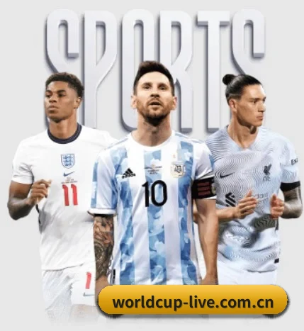 2026世界杯买球官网五大内容板块,覆盖赛事直播与实时比分